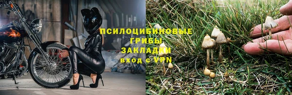 амф Алексин