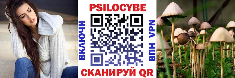Псилоцибиновые грибы мицелий Глазов